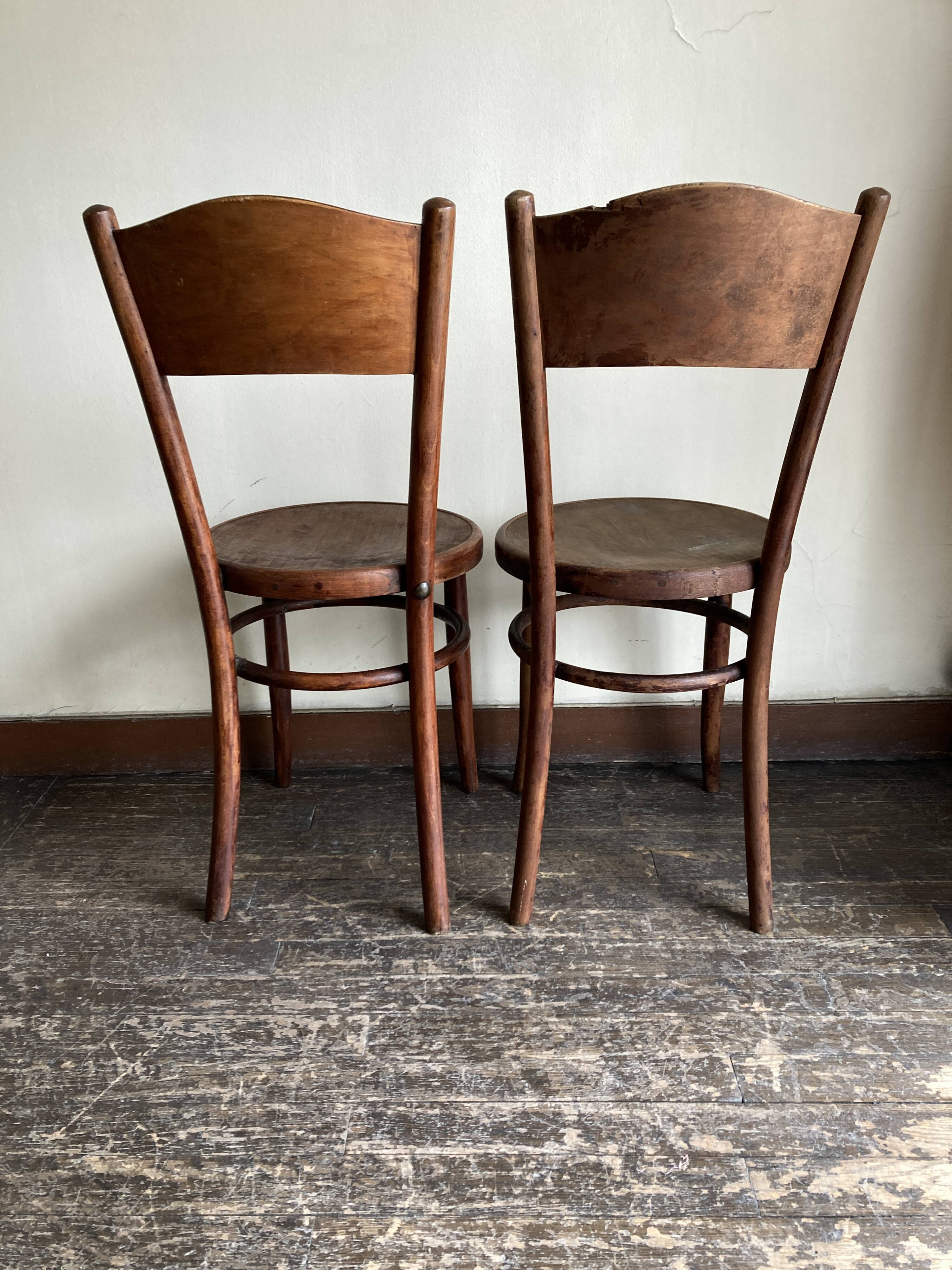 Set of 4 Fischel bistro chairs in bent wood gendarme hat 1920