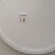 Lot de 12 assiettes plates anciennes en faience