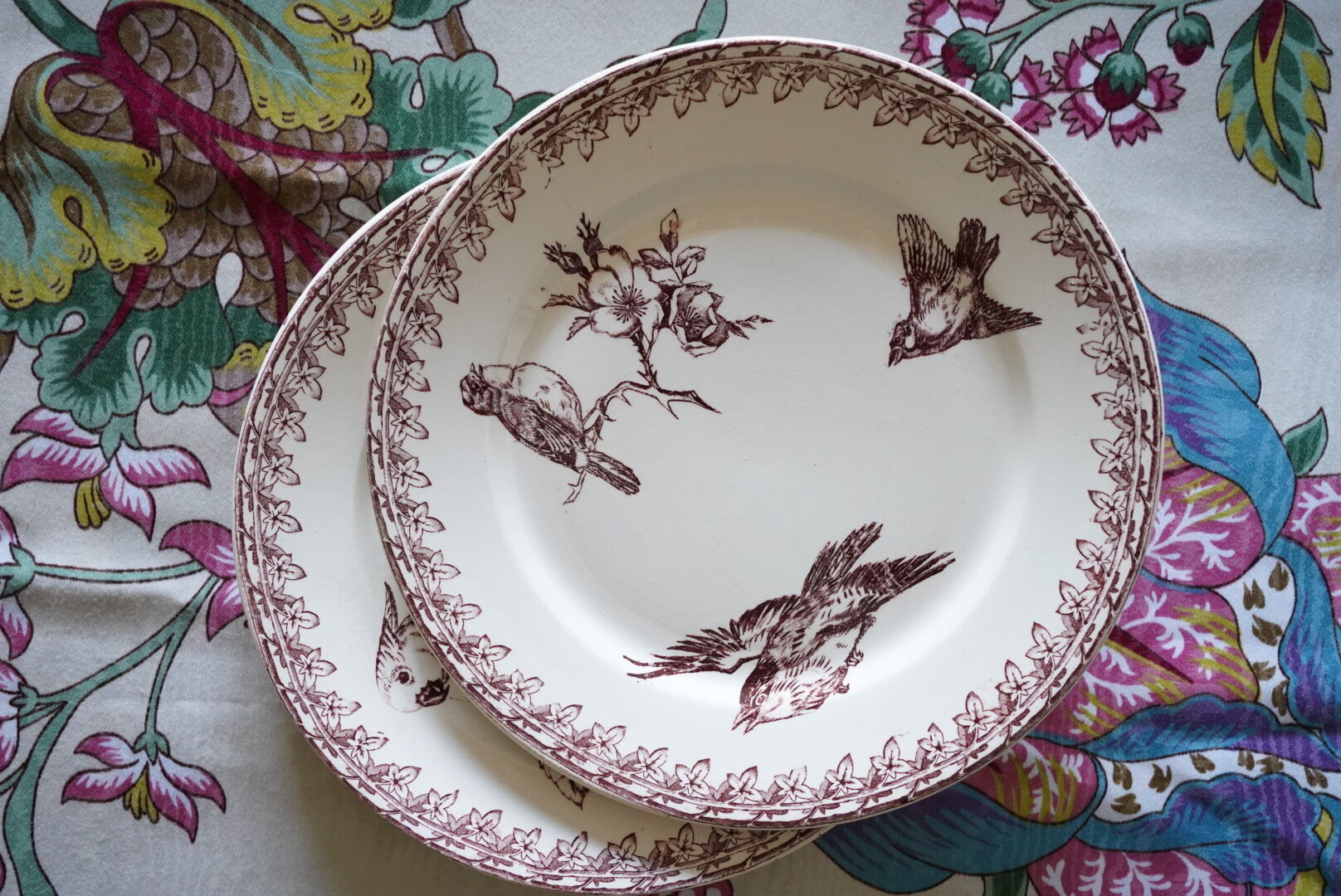 2 Old Dessert Plates "Buffon", iron earth, Sarreguemines