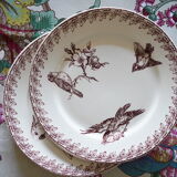 2 Old Dessert Plates "Buffon", iron earth, Sarreguemines