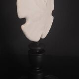 Cabinet of Curiosities sea urchin encope grandis on base