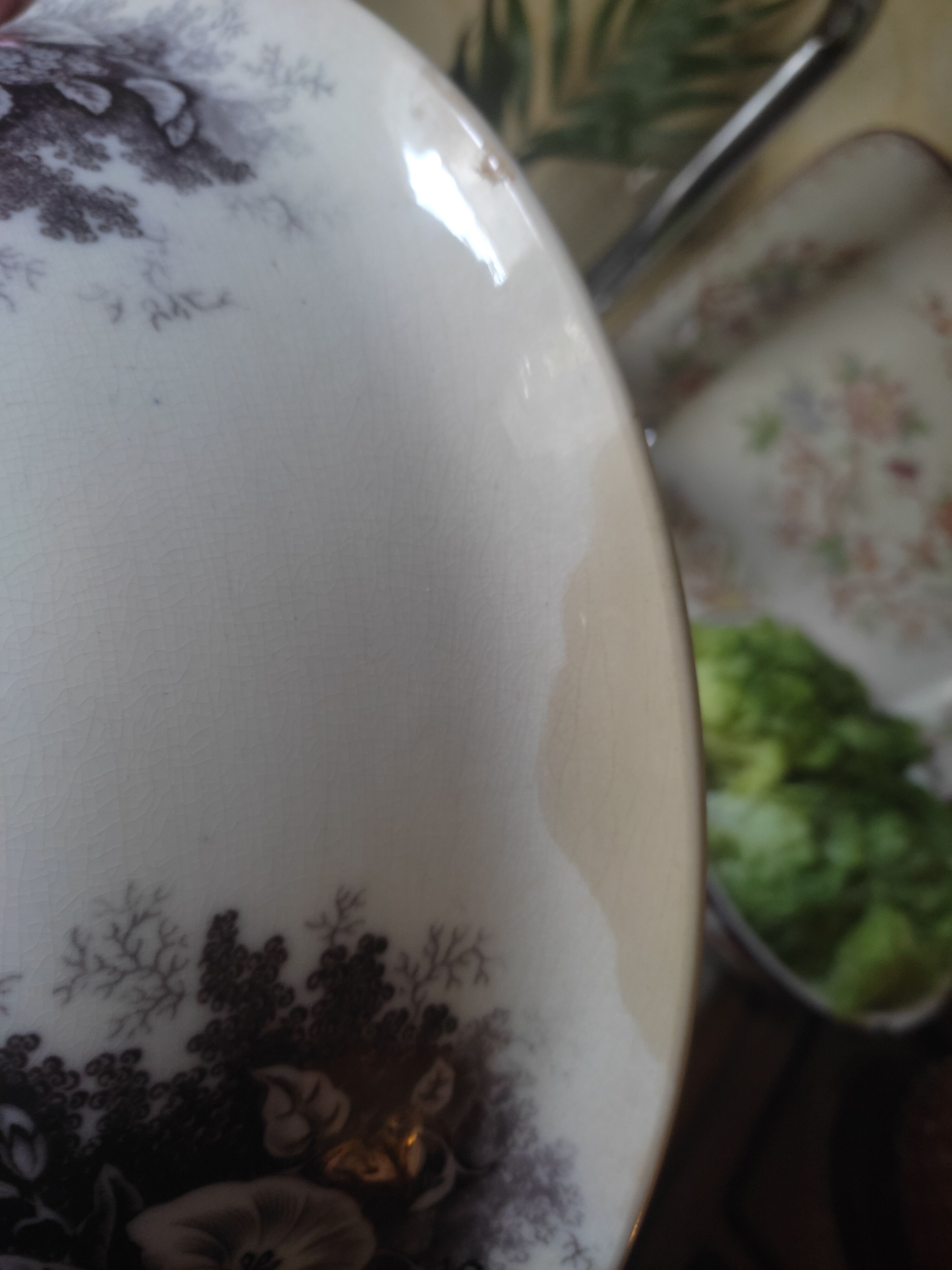 Salad bowl Sarreguemines old