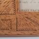 Botanical illustration Carolina parrot carved wooden frame