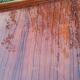60s rosewood rosewood blackened feet airplane wings
