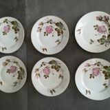 Lot de 10 assiettes anciennes