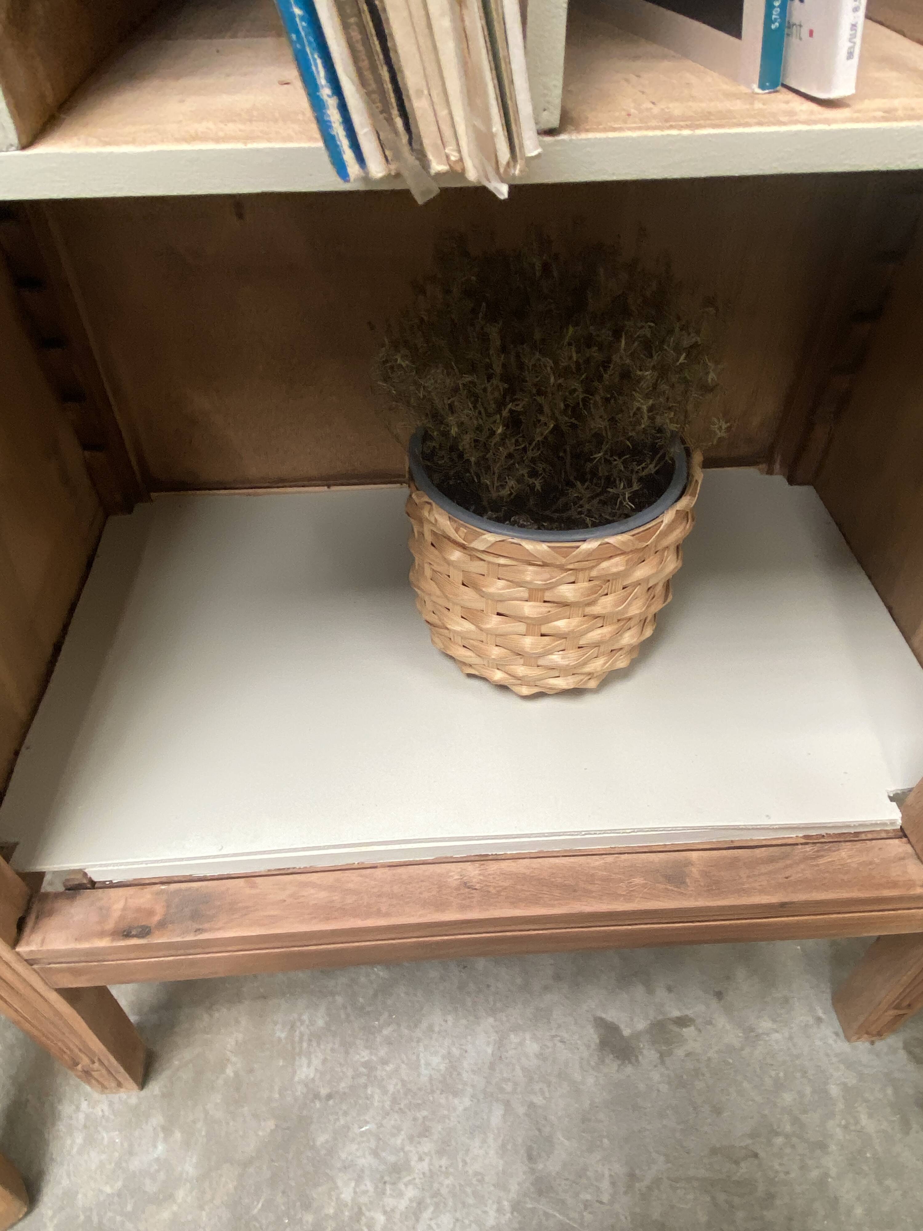 vitrine art déco