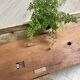 Solid wood workbench