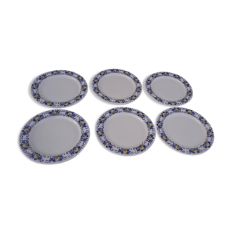 6 flat plates Villeroy and Boch model Cadiz Clacquesin diam 24 cm