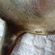 silver-plated metal ladle monogrammed PT orfevrerie L.Auzolle