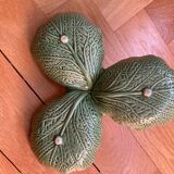 Plat feuilles de choux