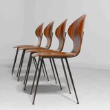 Set of four plywood 'Lulli' chairs by Carlo Ratti, Italy, 1950s