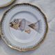 Set of 9 Saint Amand flat plates with fish decor