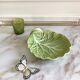 Cup delight slurry cabbage