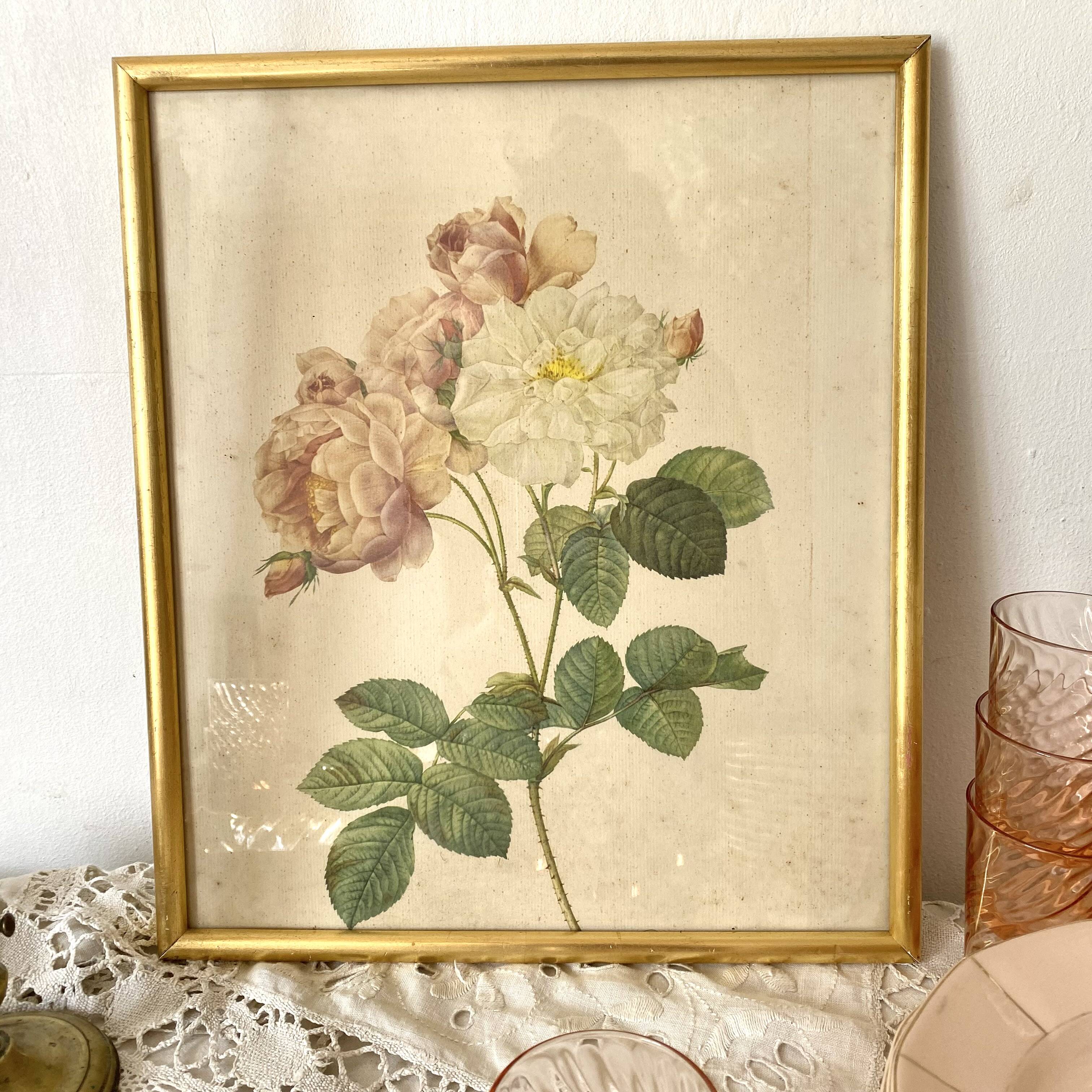 Framed pink botanical board