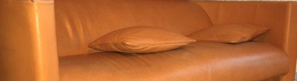 Designer leather sofa