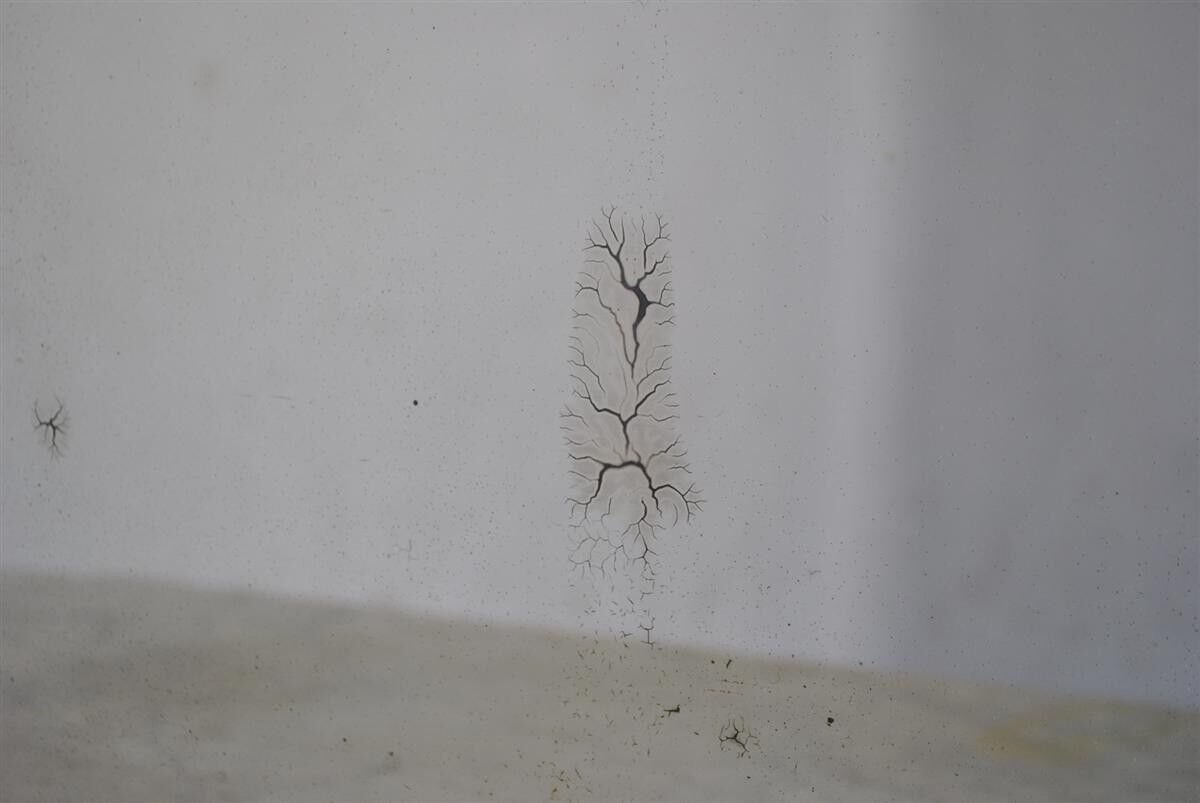 Hairdresser to scraper bronze Louis XVI style 1900