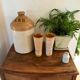40s varnished sandstone canister