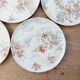 Assiettes Lavallière Sarreguemines