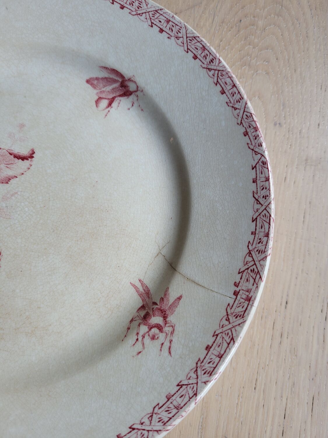 Flat plate Iron Earth