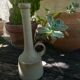 Minimalist sandstone vase