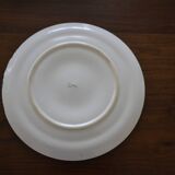 Assiette à huitres marron