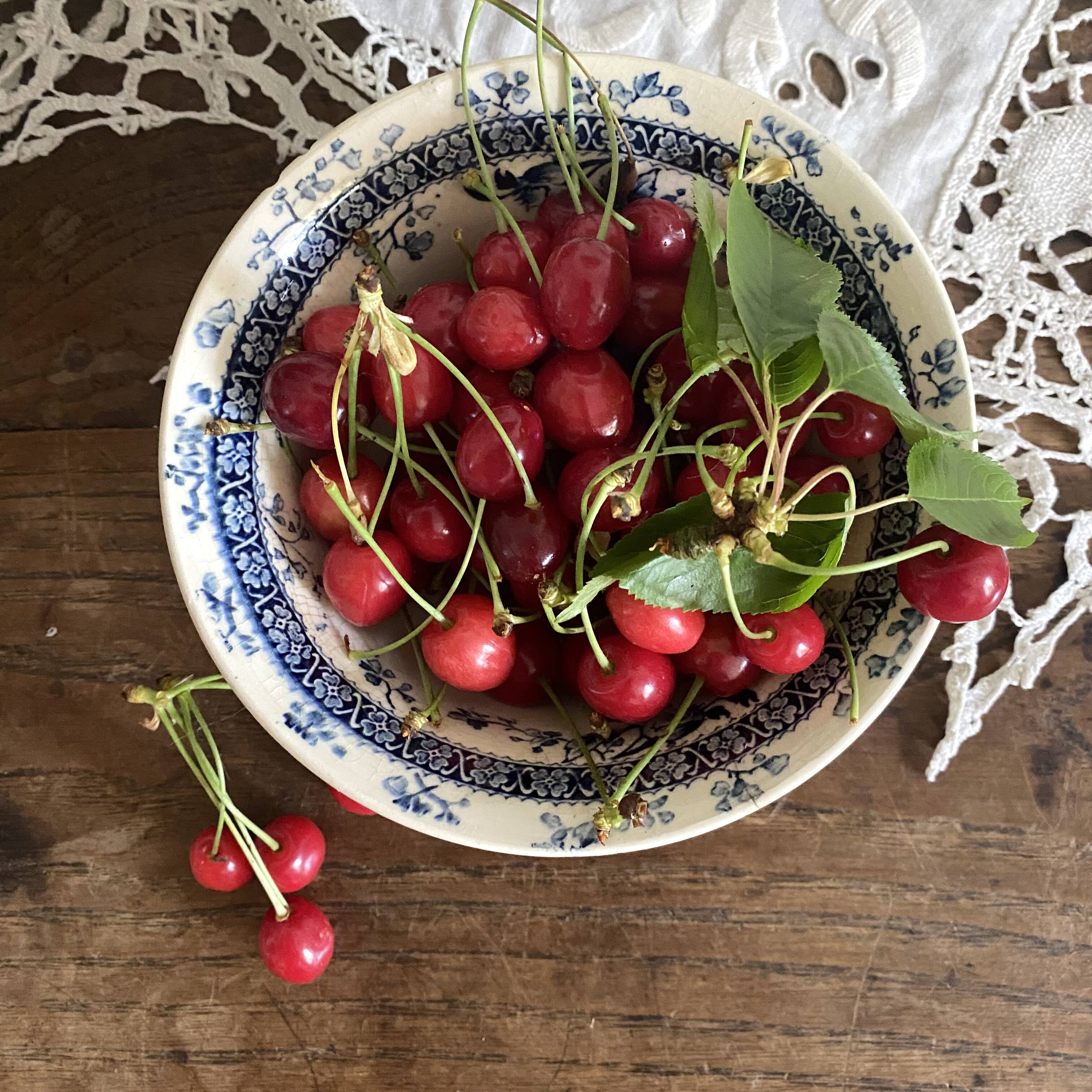 Gien Mireille ironstone bowl