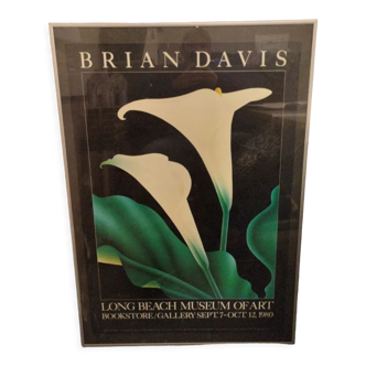 Affiche d'exposition d'art Brian Davis