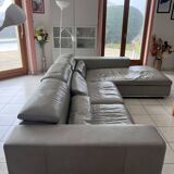 Roche Bobois sofa