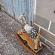 Wooden horse toy