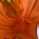 Pierre d’Avesn for Daum - Art Deco vase/bowl