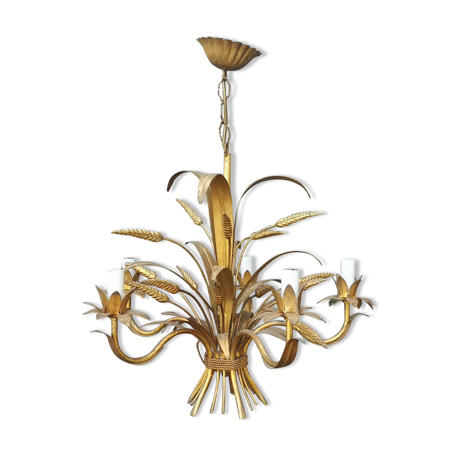 Golden lustre wheat epis