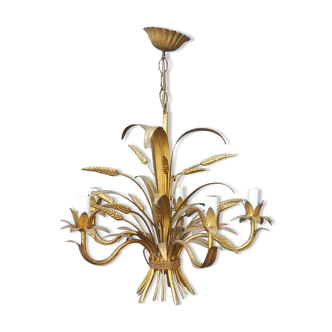 Golden lustre wheat epis