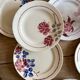 Set of 10 mismatched antique dinner plates