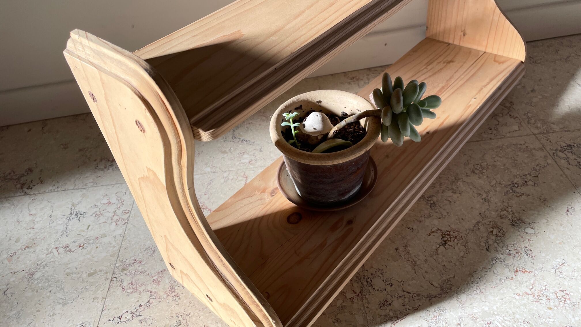 Vintage floor with double tops wood brut