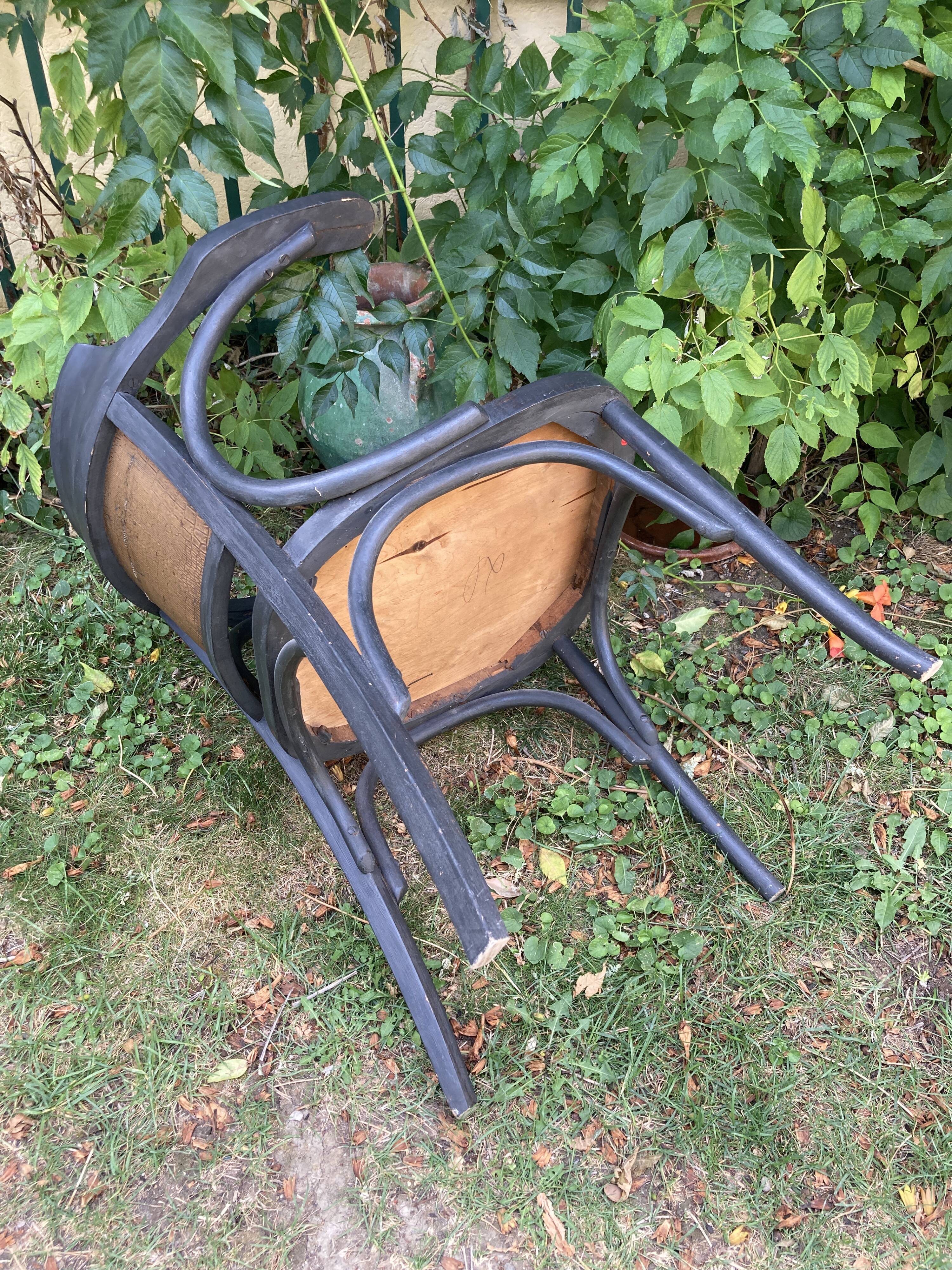 Curved wood office chair - Baumann