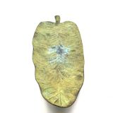 Leaf shaped centerpiece, France 1970s