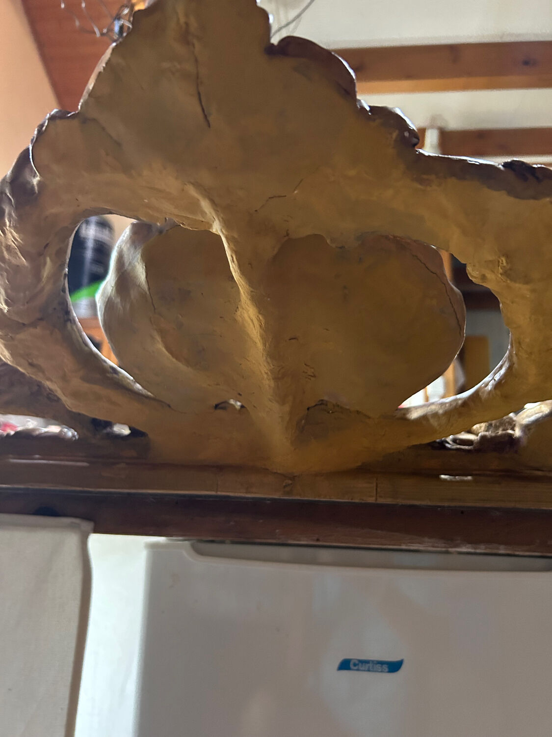 Golden mirror high 2m old