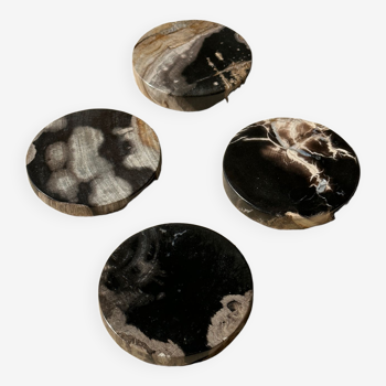 Set of 4 fossilized wooden coasters