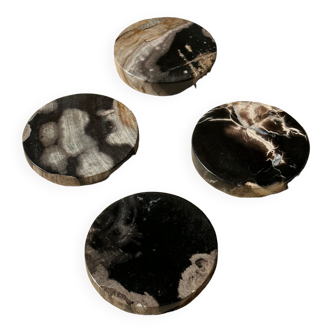 Set of 4 fossilized wooden coasters