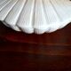 Ceramic shell 1960