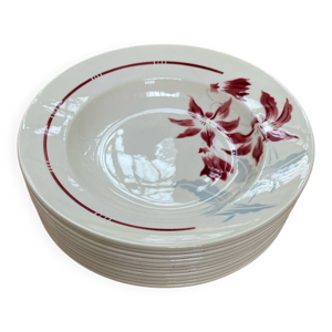 assiettes creuses Badonvillier