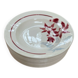 Badonvillier deep plates