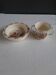 Plate and cup for baby