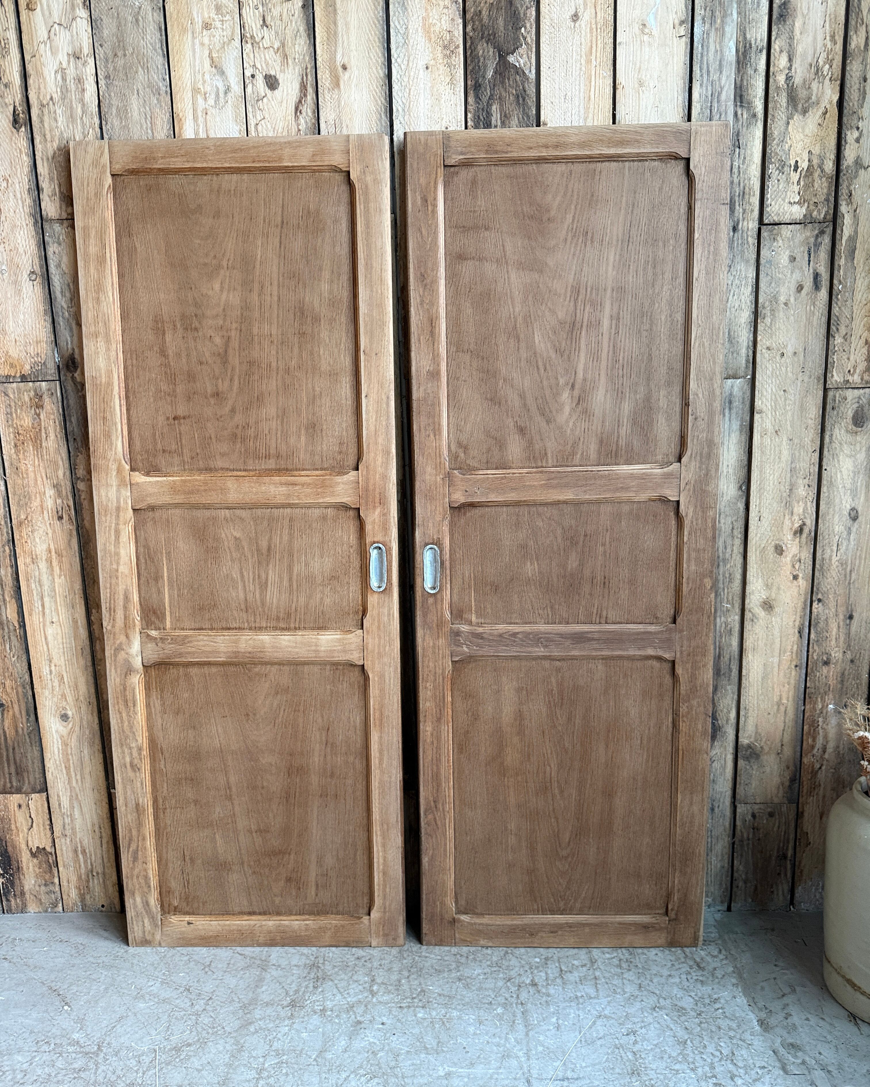 Paire de portes d’armoire