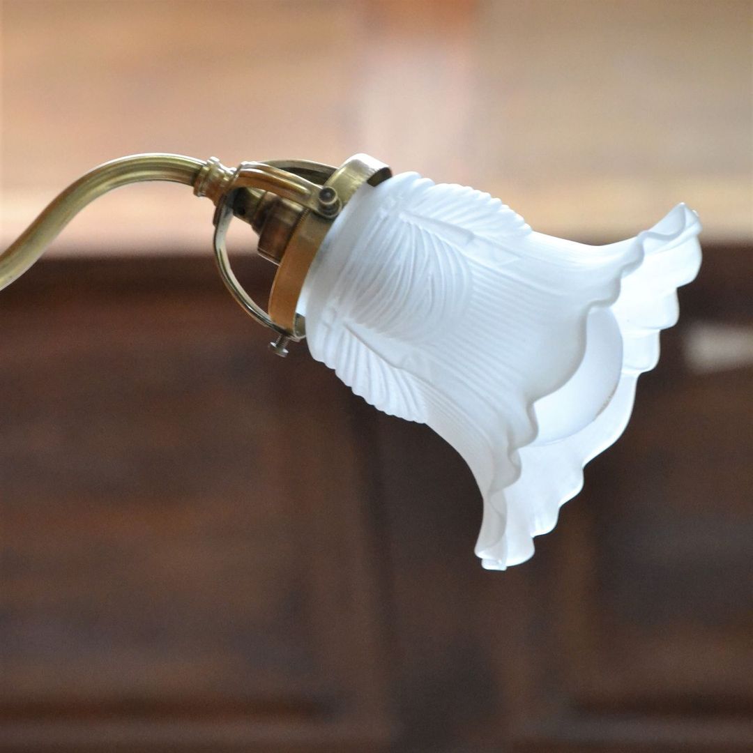 Brass gooseneck wall lamp and tulip lampshade