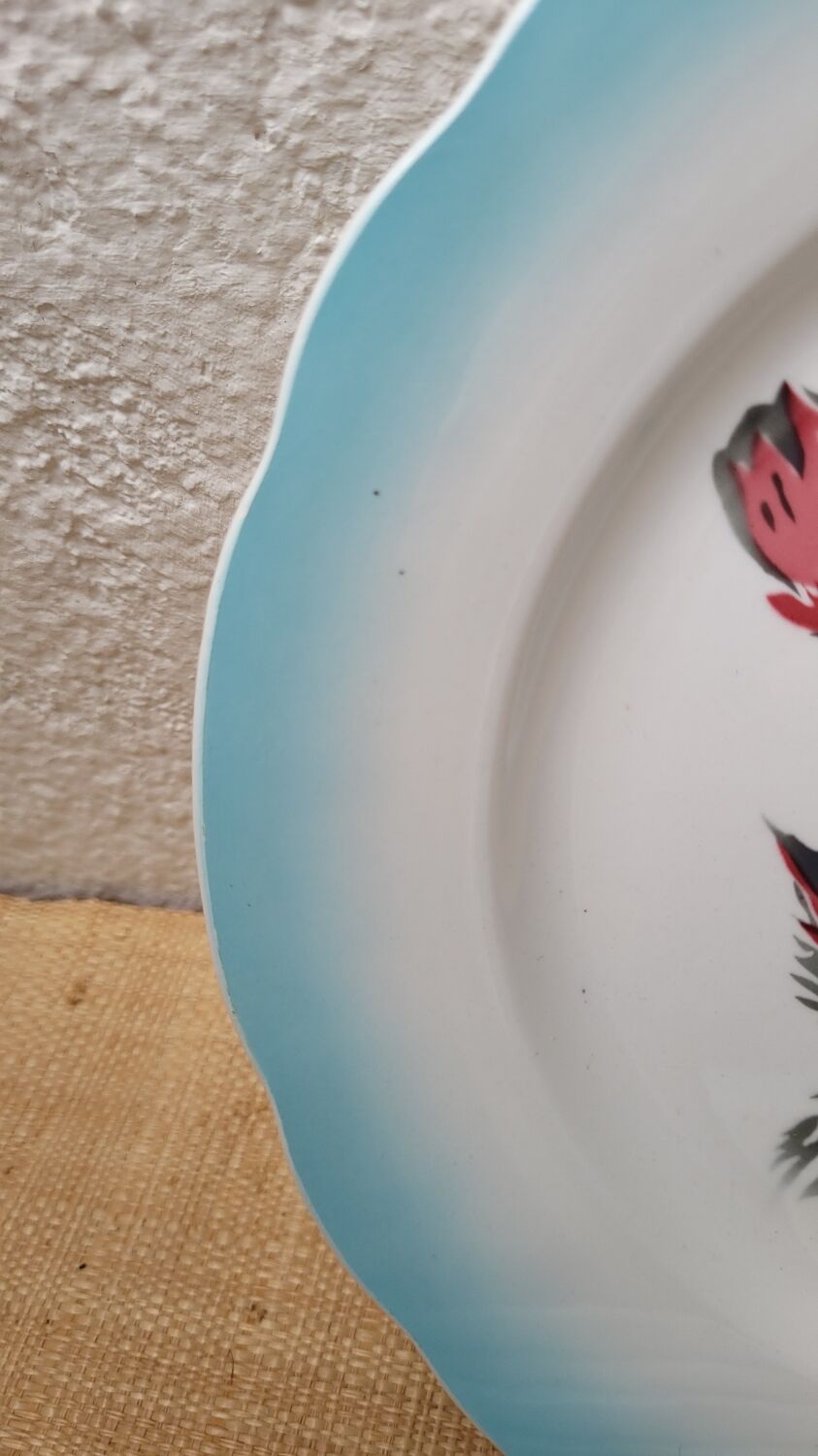 Digoin ceramic plates