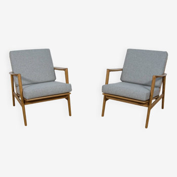 Model 300-139 Armchairs from Swarzędz Factory, 1960s, Set of 2