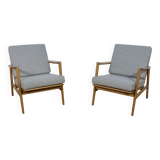 Model 300-139 Armchairs from Swarzędz Factory, 1960s, Set of 2