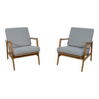 Model 300-139 Armchairs from Swarzędz Factory, 1960s, Set of 2