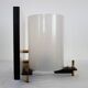 Rare lamp by Georges Frydman with screen 1950s